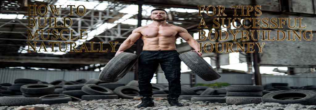 Bodytech, Steroid, anabolic, steroid cycle, beginer steroid 