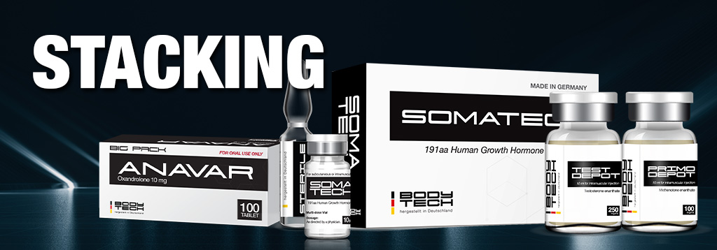 Bodytech, Steroid, anabolic, steroid cycle, beginer steroid 